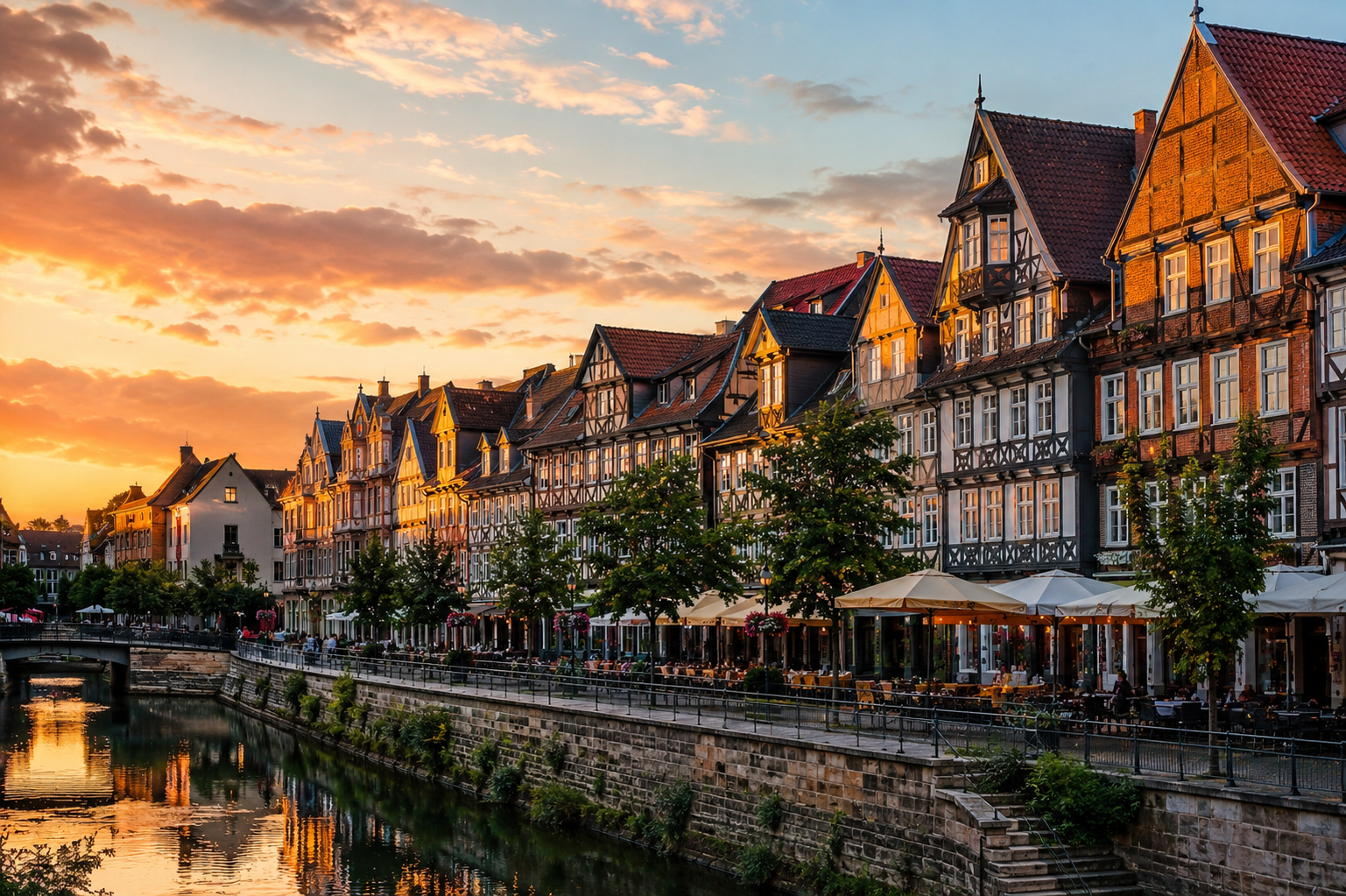 Immobilienmakler Hameln, Albert Real Estate